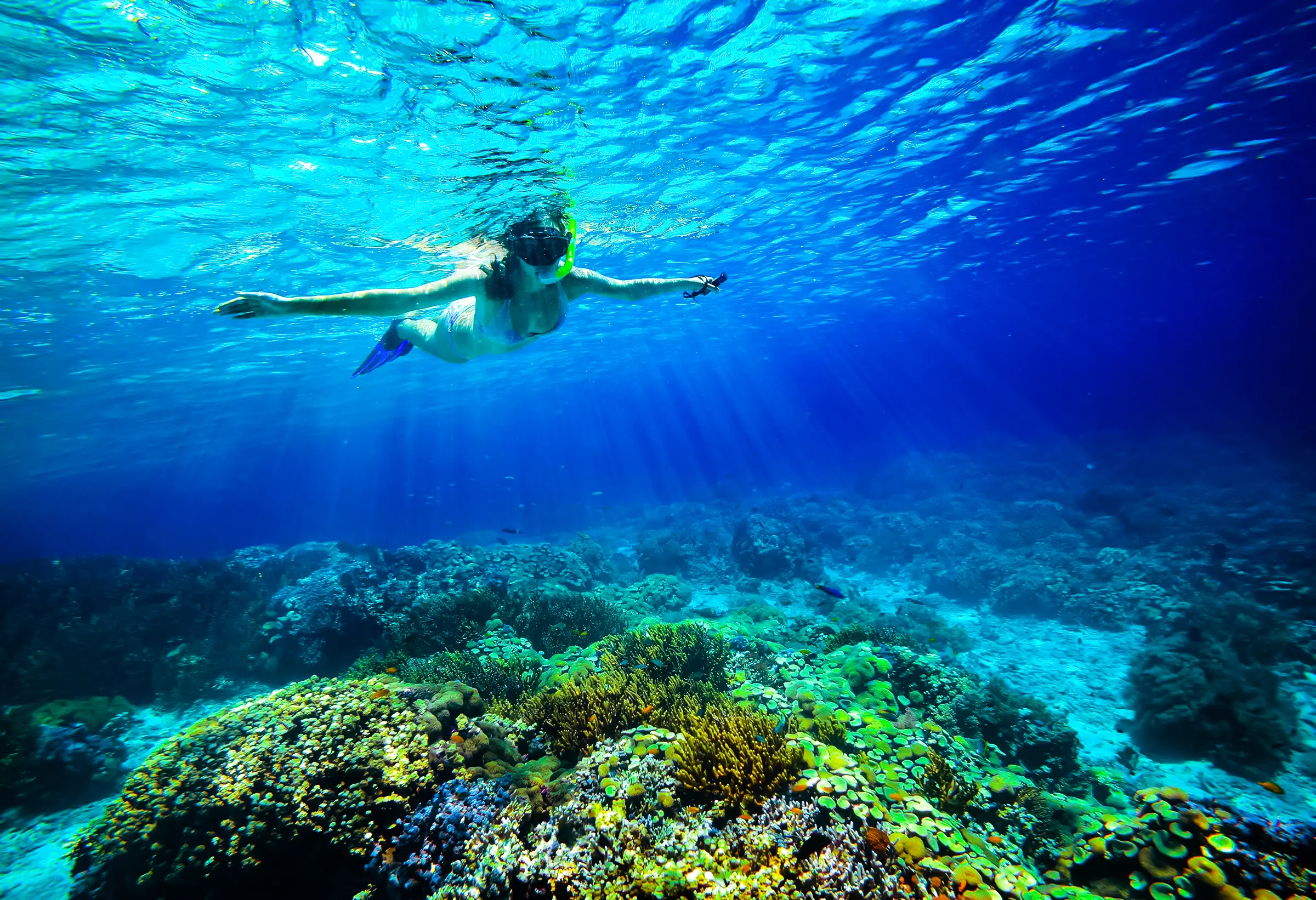 Snorkeling on the Island
